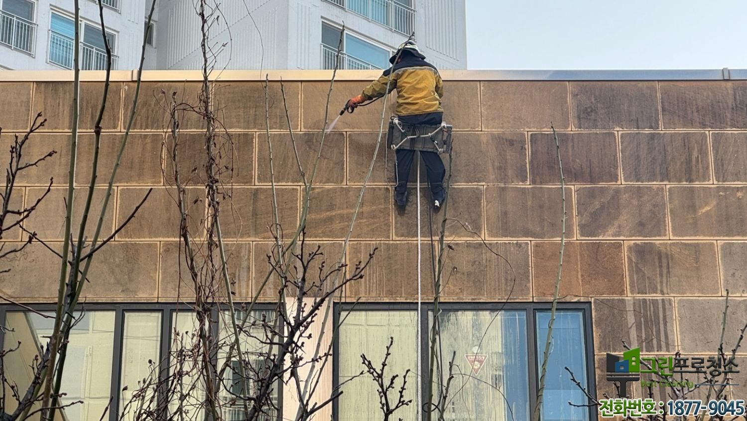 외벽 검은 곰팡이 제거 청소