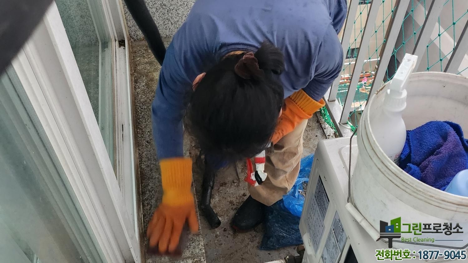 베란다 비둘기 청소