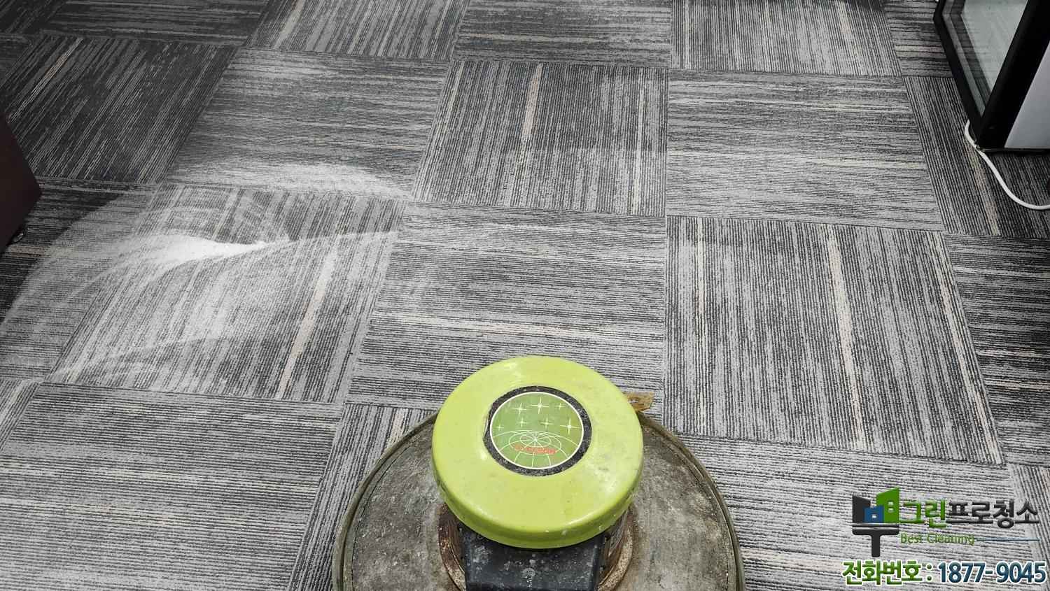 회의실 카페트 습식청소