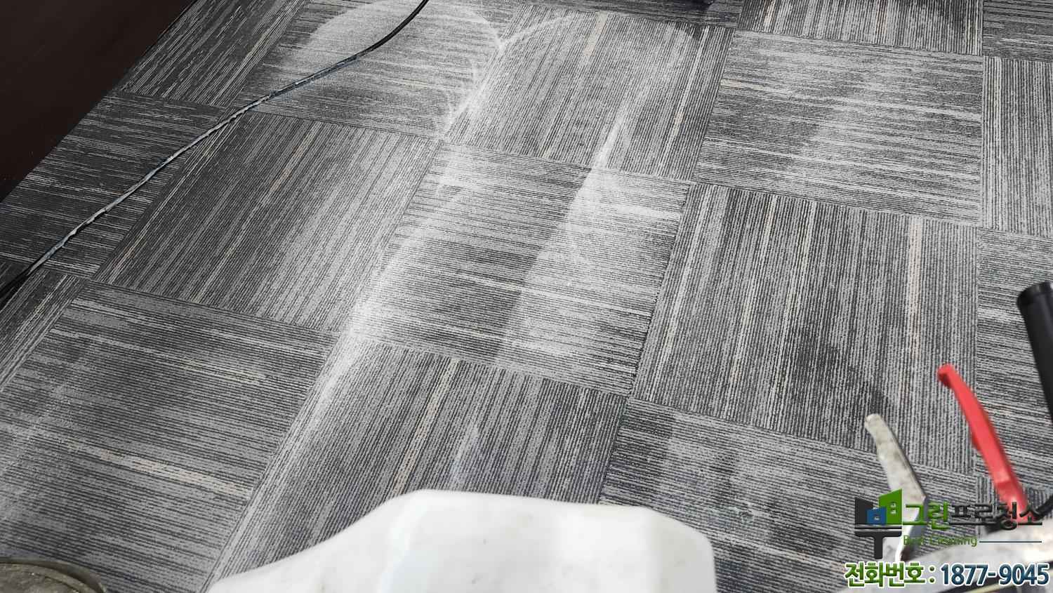 회의실 카페트 습식청소